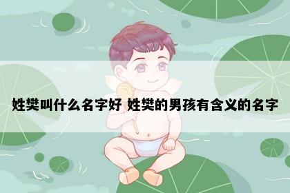 姓樊叫什么名字好 姓樊的男孩有含义的名字