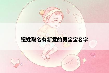钮姓取名有新意的男宝宝名字
