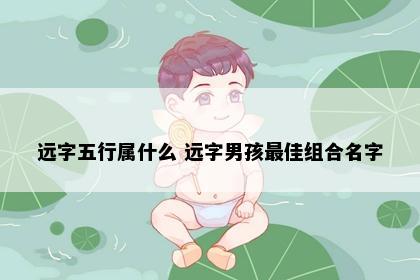 远字五行属什么 远字男孩最佳组合名字