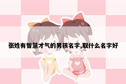 张姓有智慧才气的男孩名字,取什么名字好