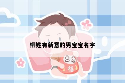 柳姓有新意的男宝宝名字