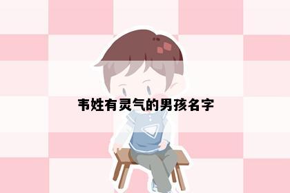 韦姓有灵气的男孩名字